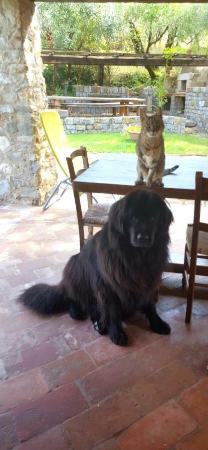 La Corte Del Falco Pieve a Nievole Exteriör bild