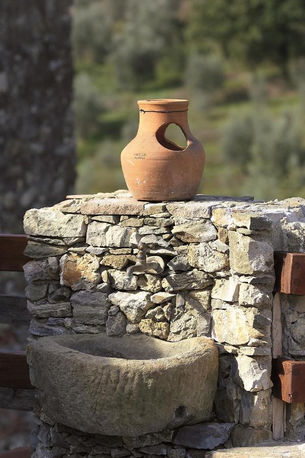 La Corte Del Falco Pieve a Nievole Exteriör bild